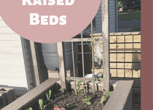 DIY Budget Raised Beds
