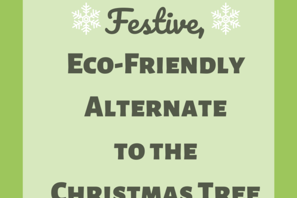 A Free, Festive, Eco-friendly Alternate To The Christmas Tree