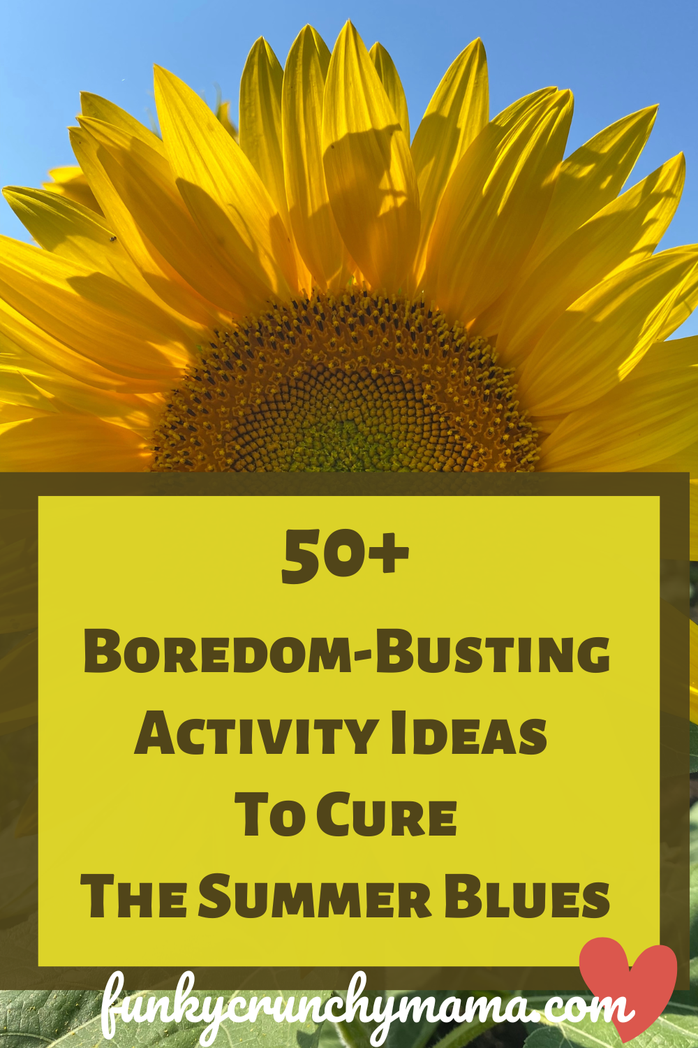 50+ Fun Websites: Cool Websites to Cure Boredom (2023)